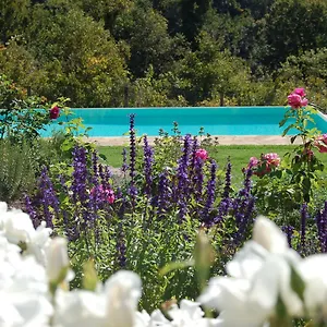  Bed & Breakfast Podere Il Colto